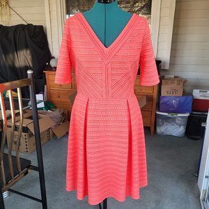 London Times Lined Short Sleeve Flare Dress
